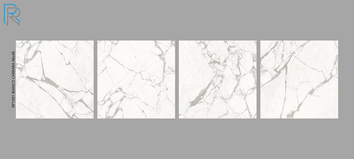 Raphael Porcelain Marble Look Series