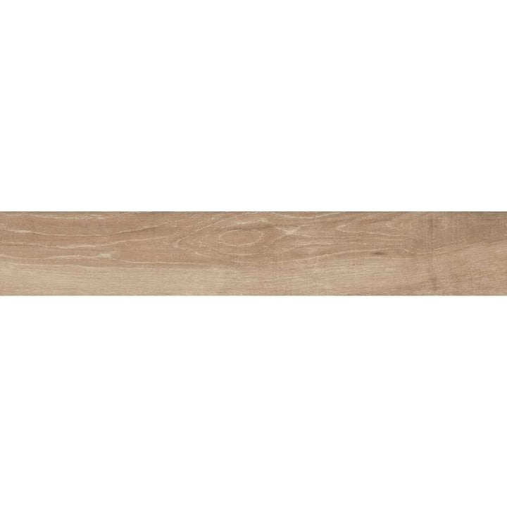 Merola Tile           Baron         Series