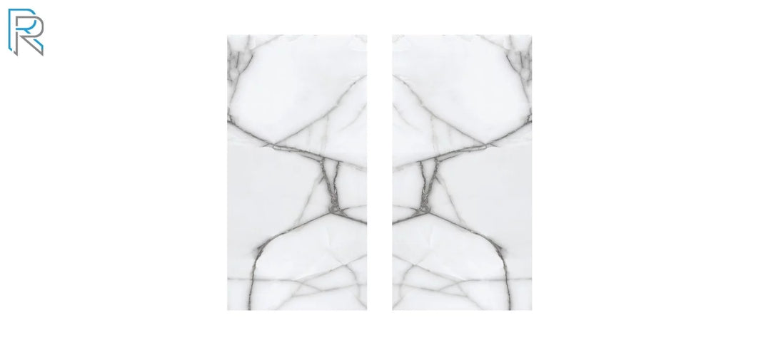 Raphael Porcelain Marble Look Series