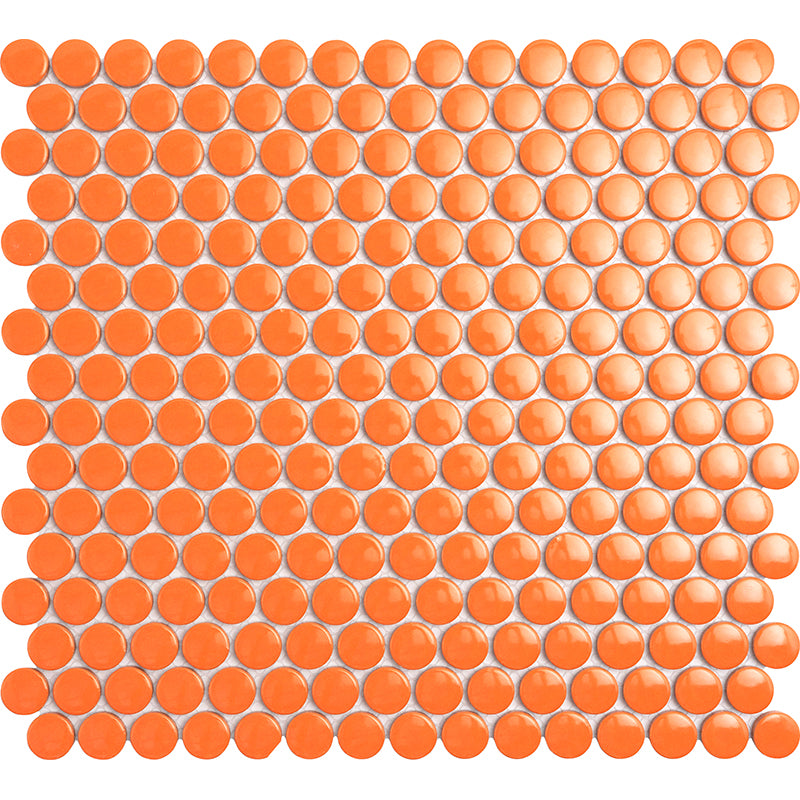 MIR Mosaic  Orbit  Series