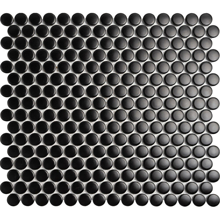 MIR Mosaic  Orbit  Series