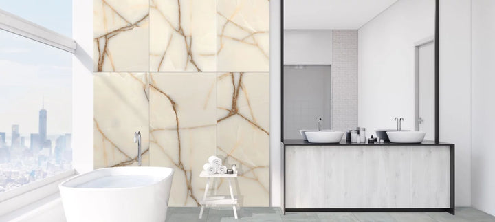 Raphael Porcelain Marble Look Series