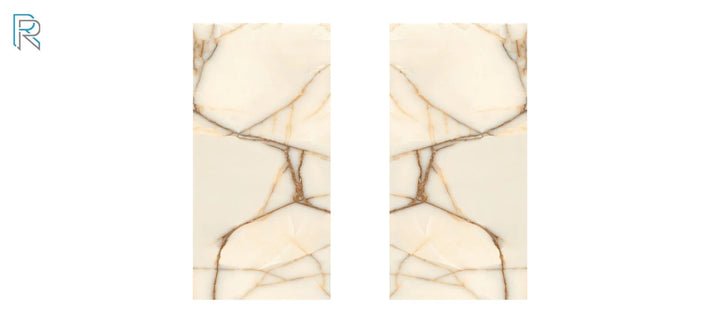 Raphael Porcelain Marble Look Series