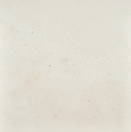 New Jersey Tile and Stone    I Cocci  Series