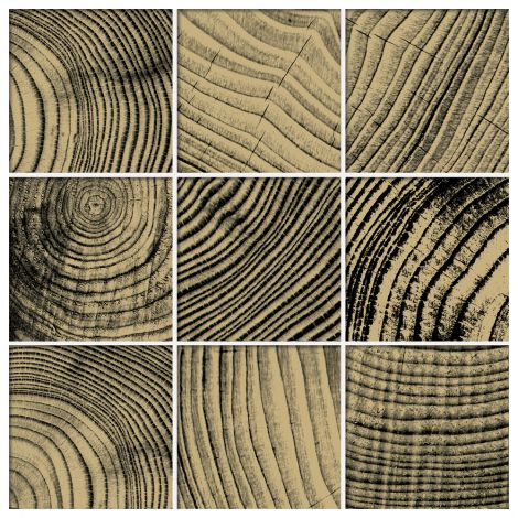 Nemo Tile  Convergence  Series