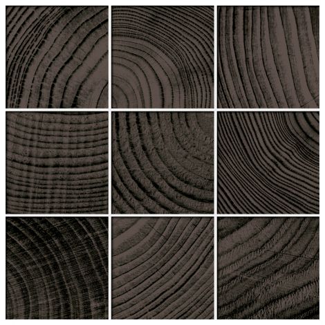 Nemo Tile  Convergence  Series