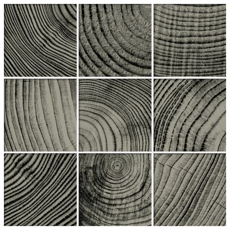 Nemo Tile  Convergence  Series