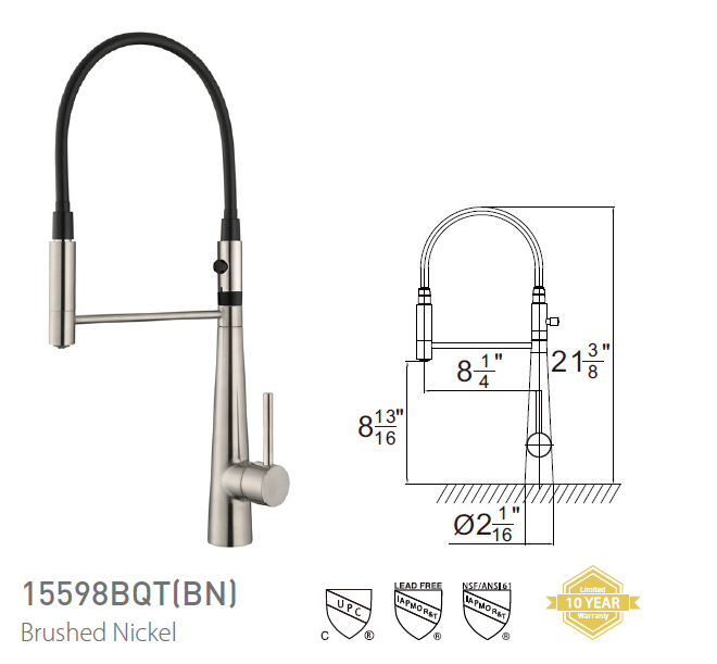 Pasgo 15598BQT Brushed Nickel