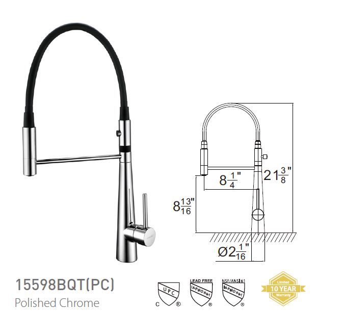 Pasgo 15598BQT Polished Chrome