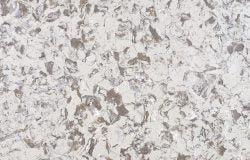 CitiQuartz CT5002 Dunlop
