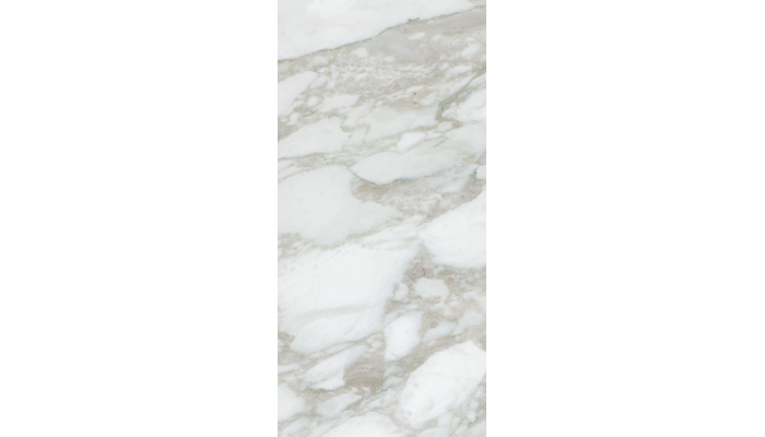 Calacatta Natural 12.6 x 25.2 Porcelain Floor