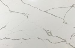 CitiQuartz CT8007 Hong Kong