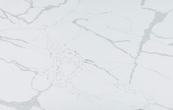 CitiQuartz CT9017 Reston