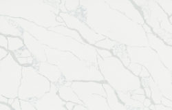 CitiQuartz CT9022 Parral