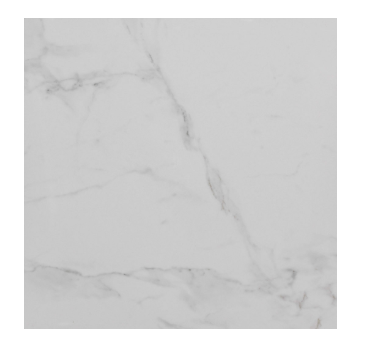 Merola Tile Calacatta 12" x 24"