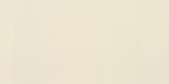 Clay Canvas (AO)