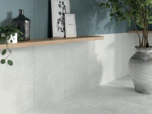 Paint ®   Series   (TTS)