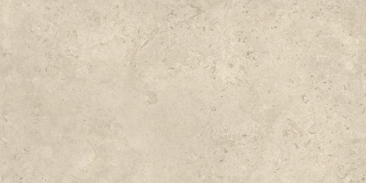 Shalem    Series ®    (BS)