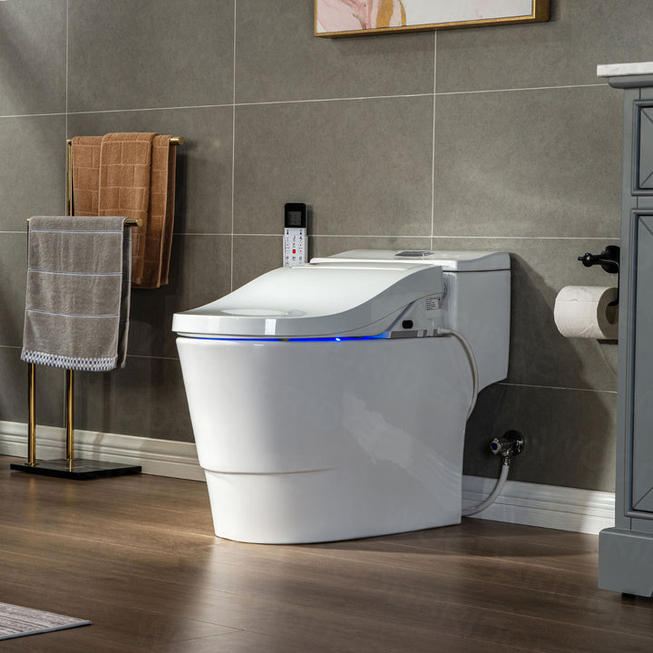 Woodbridge Toilet with Bidet Seat T-0737