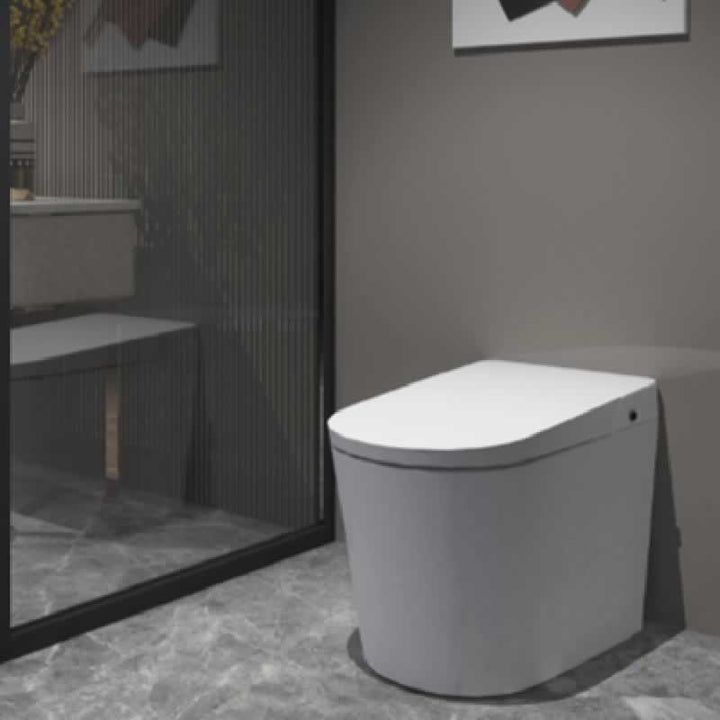 Pasgo Smart Toilet WC-G19