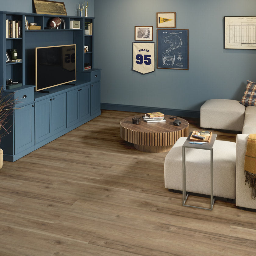Shawfloors    Ignite    Series  (Shaw)
