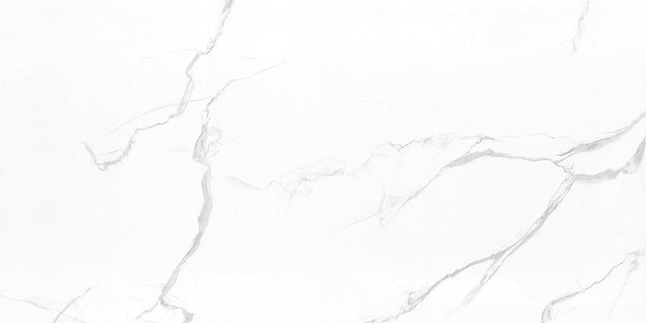 Porcelain Tile    Series (BL)