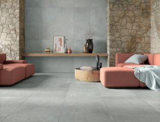 Paint ®   Series   (TTS)