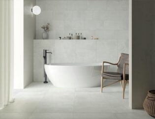 Paint ®   Series   (TTS)