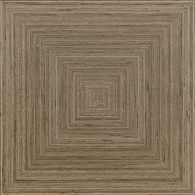 Bambusa     Series ®    (BE)