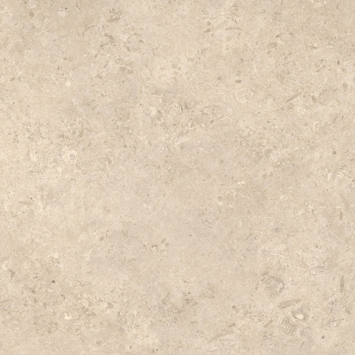 Shalem    Series ®    (BS)