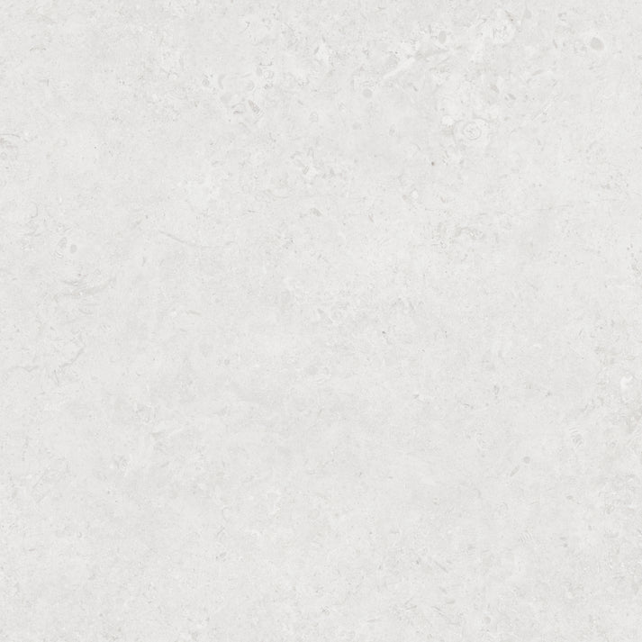 Shalem    Series ®    (BS)