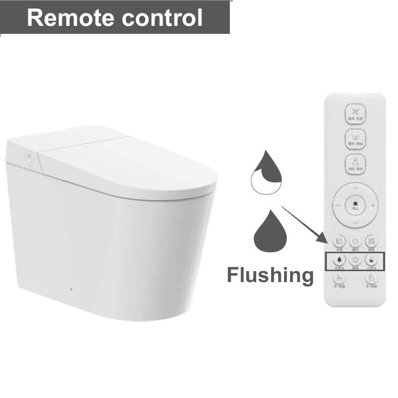 Pasgo Smart Toilet WC-G19
