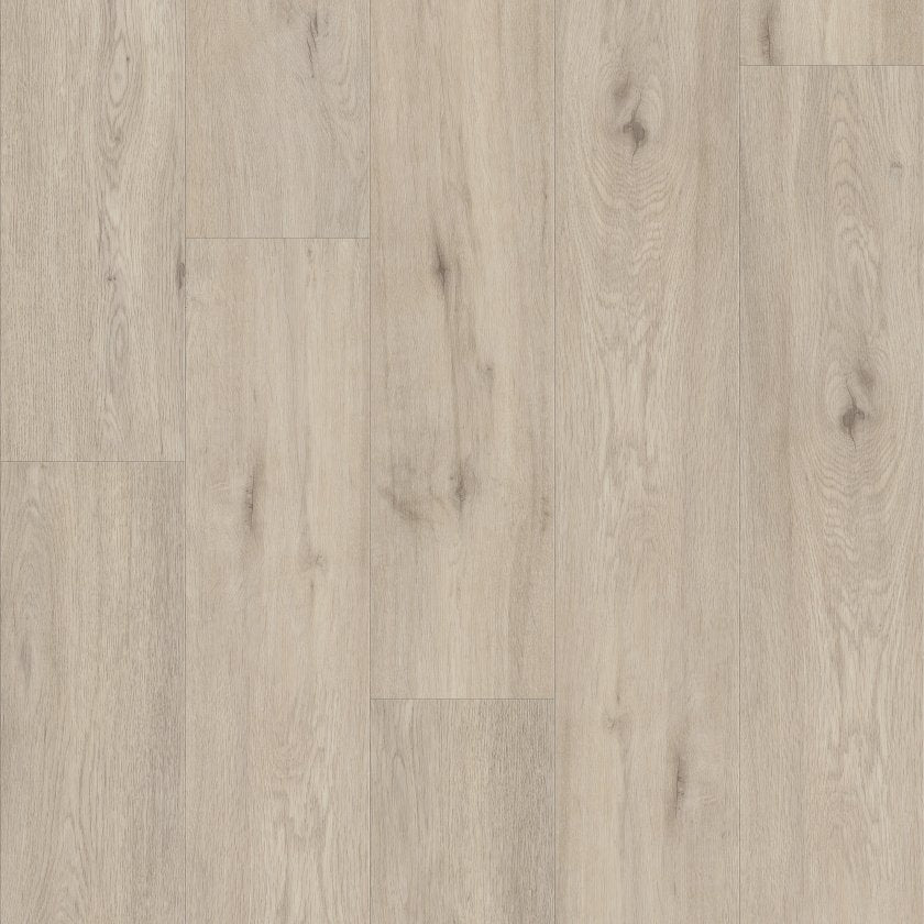 Shawfloors    Pantheon Hd Plus    Series  (Shaw)