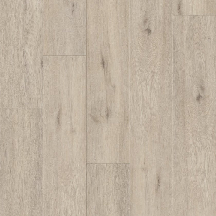 Shawfloors    Pantheon Hd Plus    Series  (Shaw)