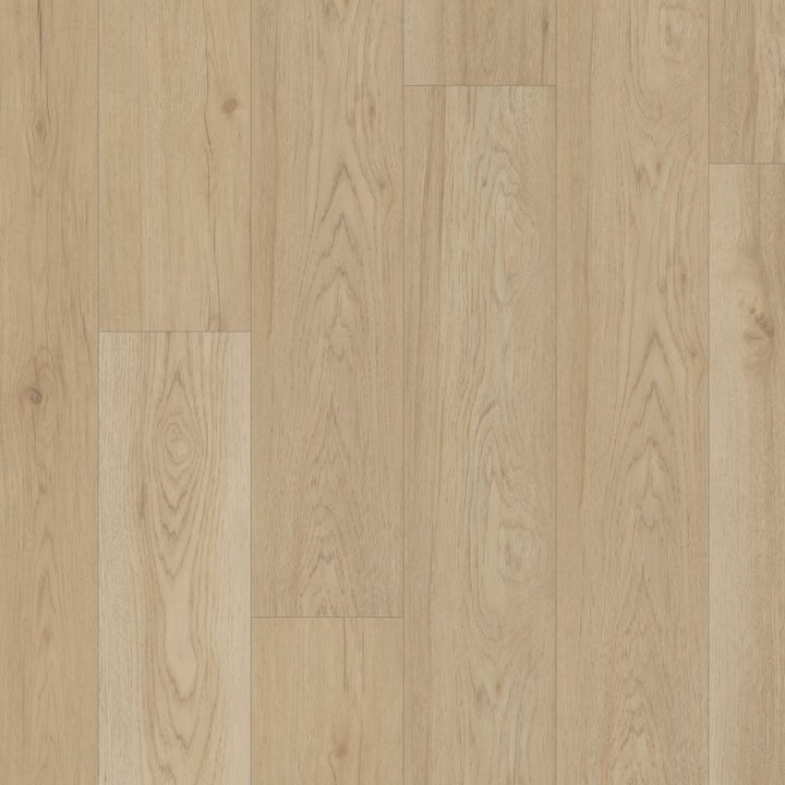 Shawfloors    Ignite    Series  (Shaw)