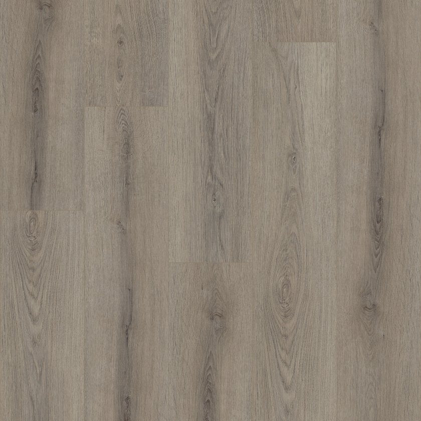 Shawfloors    Paladin Plus    Series  (Shaw)