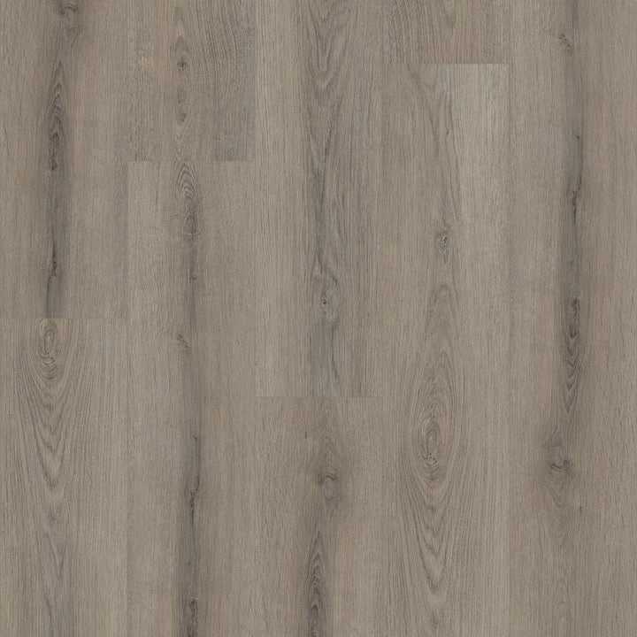 Shawfloors    Paladin Plus    Series  (Shaw)