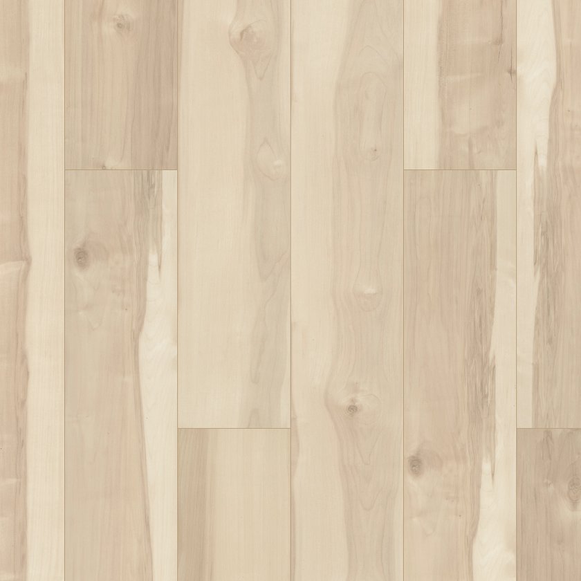 Shawfloors    Allegiance + Acc    Series  (Shaw)