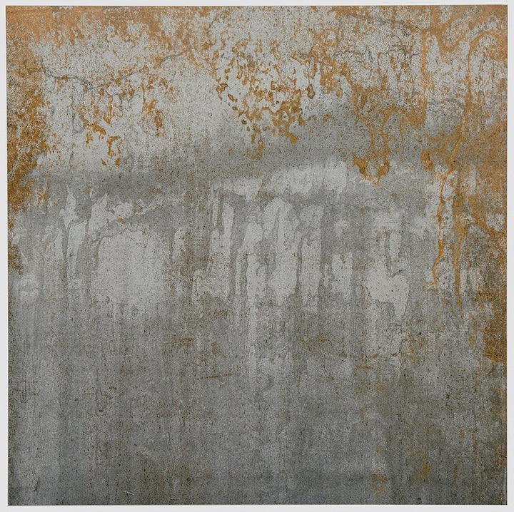 Altered State Acid Wash (GST)