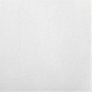 Absolute Whites ®   Series   (TTS)