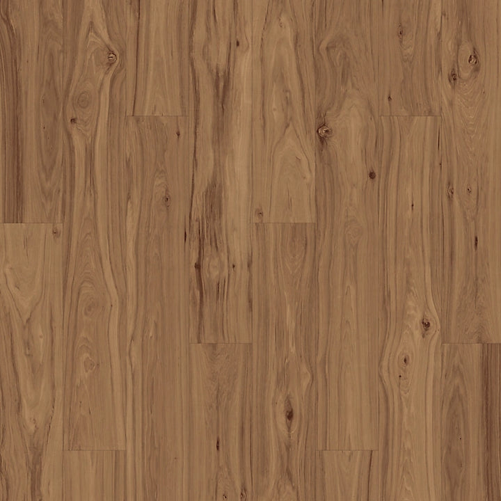 PureTech Plus   Serie  (DAT)