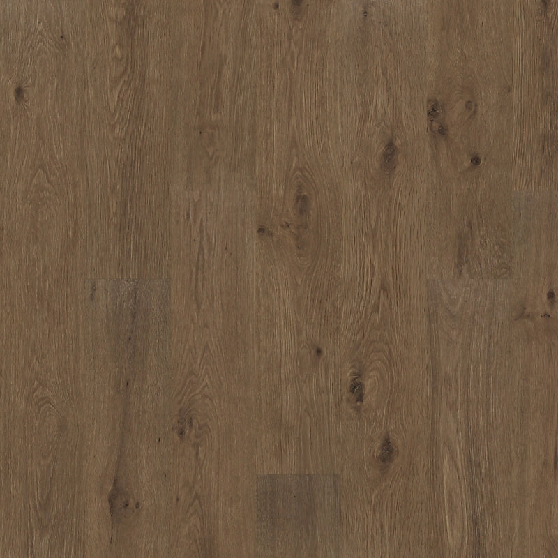 PureTech Premier   Serie  (DAT)
