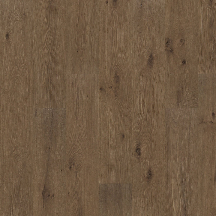 PureTech Premier   Serie  (DAT)