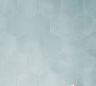 Meraki ®   Series   (TTS)