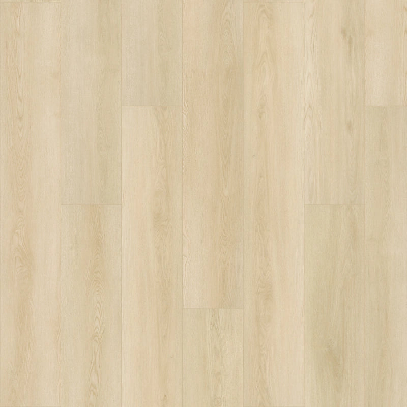 SolidTech Plus   Serie  (DAT)