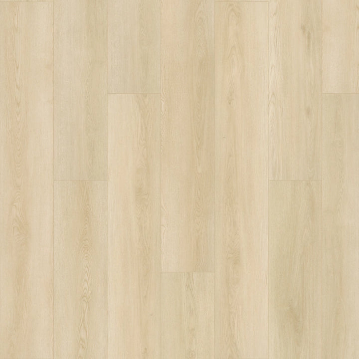 SolidTech Plus   Serie  (DAT)
