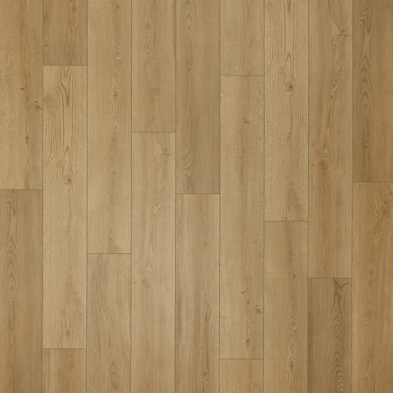 SolidTech Select   Serie  (DAT)