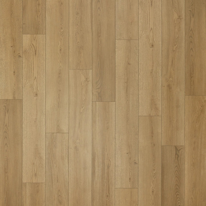 SolidTech Select   Serie  (DAT)