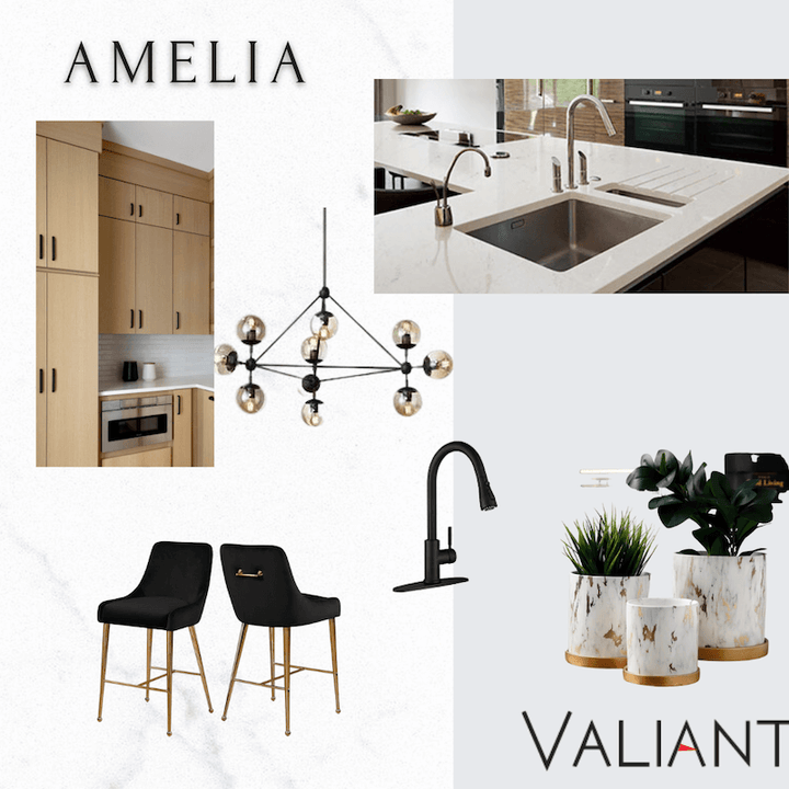 OHM International     Amelia    Series ®    (OH)