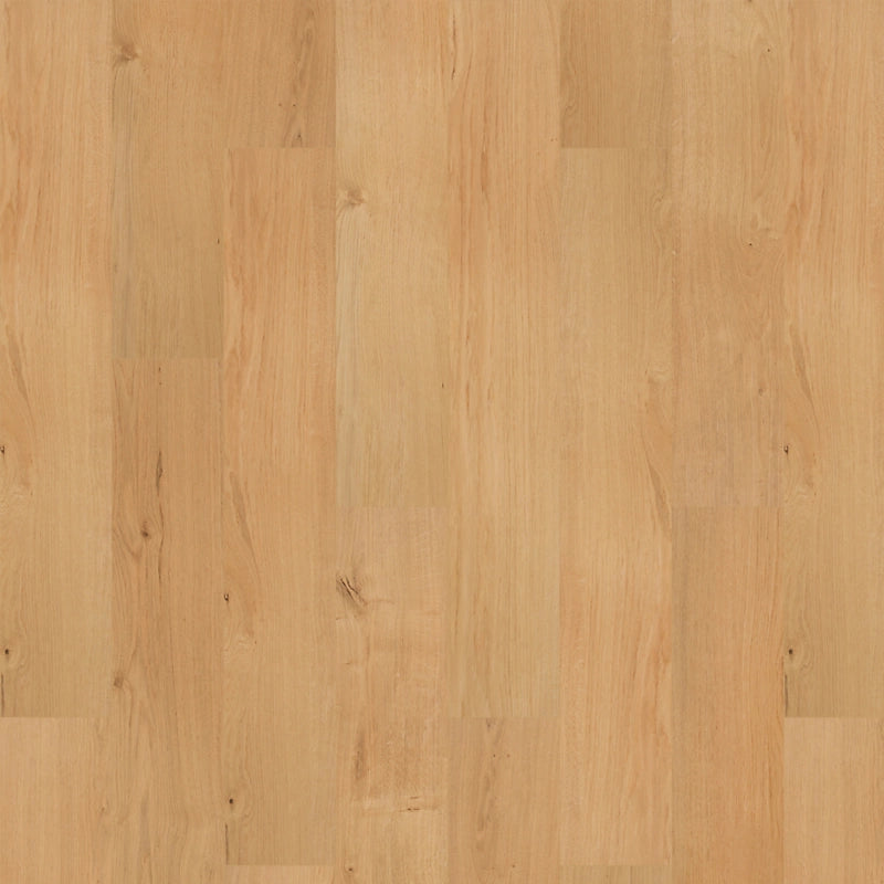 SolidTech R Plus   Serie  (DAT)